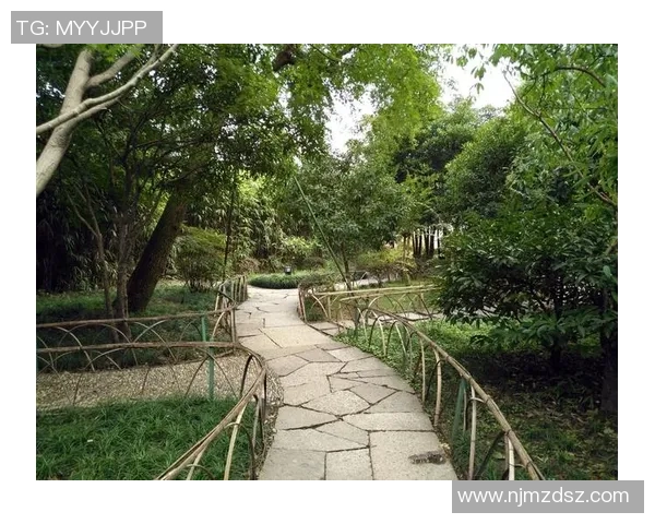 足球明星的爱情故事揭秘为何他总是怕老婆的背后真相 足球明星的爱情故事揭秘为何他总是怕老婆的背后真相