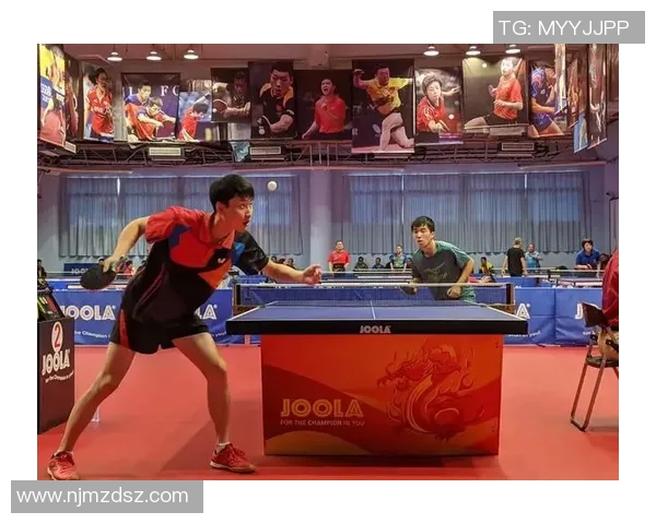 陈磊专访：回顾乒乓球历程